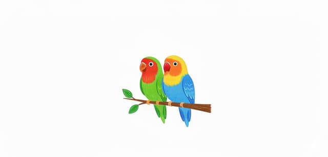 Two Birds